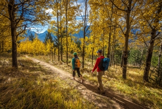 two people hiking through an yellow aspen forest in the fall