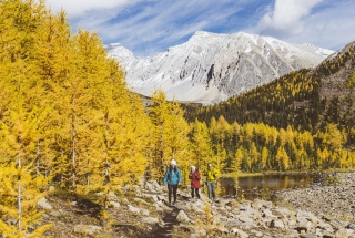two people hiking around chester lake in kananaskis with the larch trees in bright yellow
