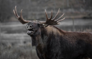 20 things to do in Canmore Kananaskis in the winter season 4
