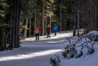 a group taking cross country skiing lessons at the canmore nordic centre through the forest in the winter