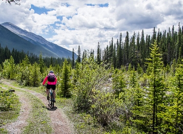 High Rockies Trail