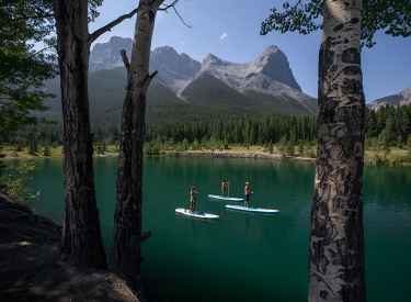 Quarry Lake Park and Off-Leash Dog Park