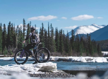 Rebound Cycle and Adventure Centre