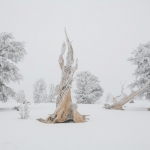 Mountain Culture Summit 2