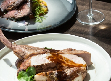 The Sensory + WIT Bar