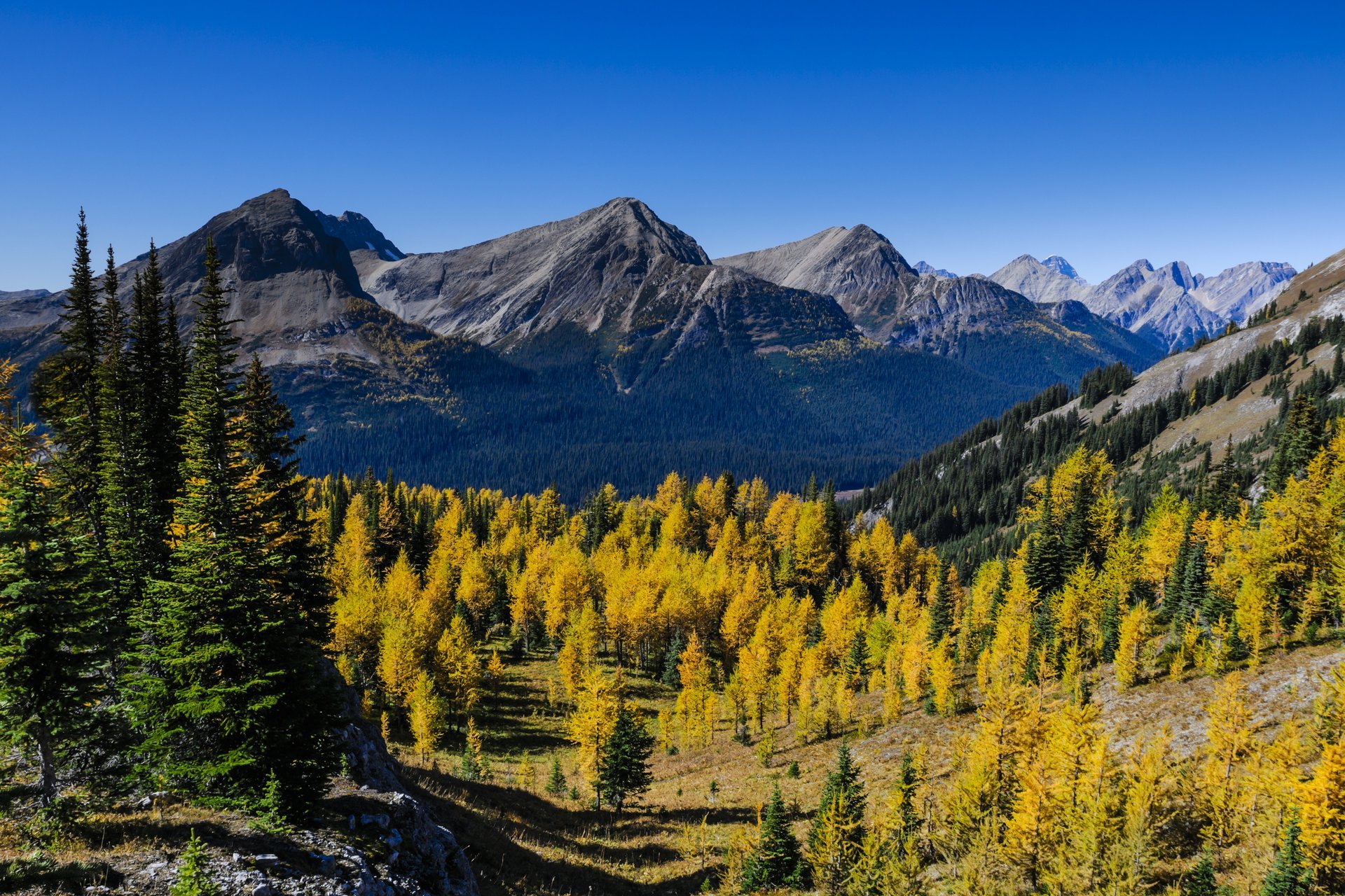 Top 7 Larch Hikes In Canmore and Kananaskis Canmore Kananaskis