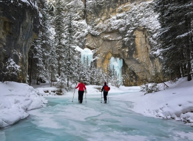 Canadian Rockies Experience
