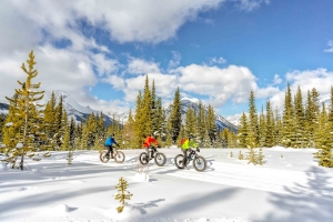 Fat Biking In Canmore 6