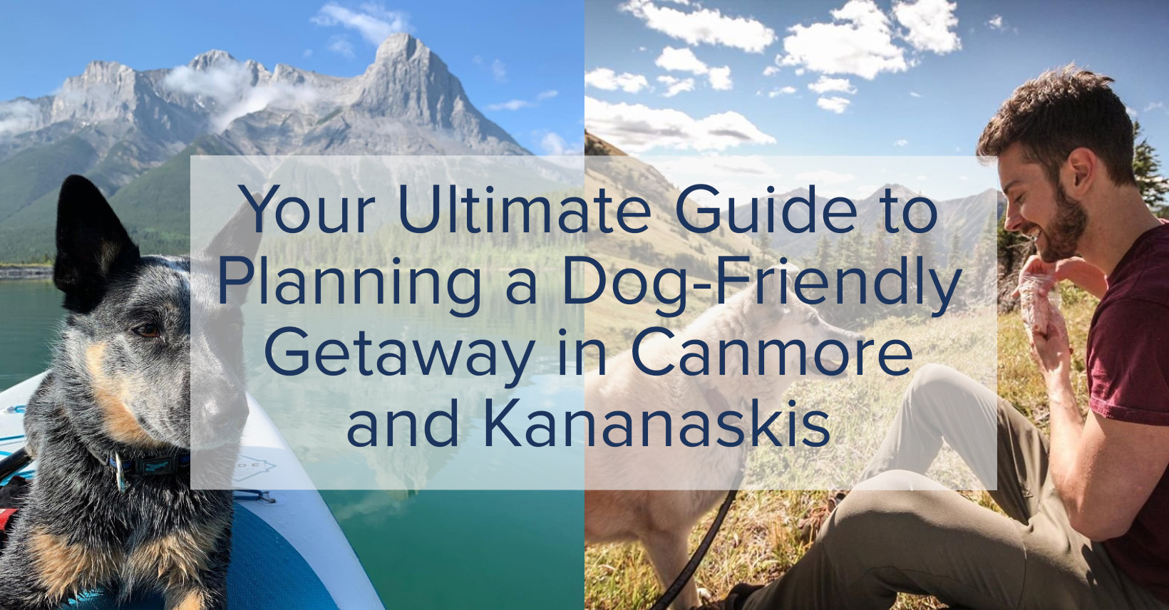 DogFriendly Getaway in Canmore and Kananaskis Canmore Kananaskis