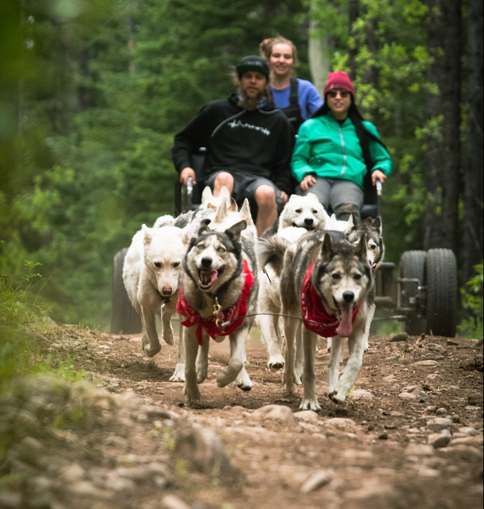 Discover What’s New in Canmore