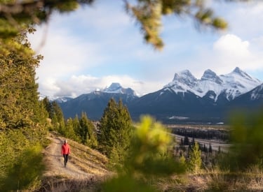 Blossom in Canmore and Kananaskis this spring