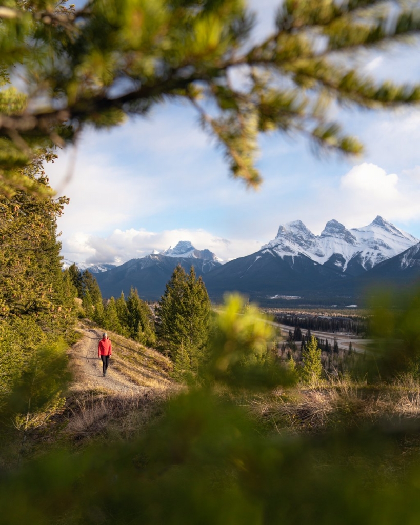 Blossom in Canmore and Kananaskis this spring