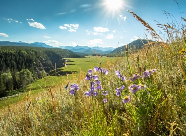 5 Breathtaking Hikes you NEED to do This Summer in Kananaskis 3