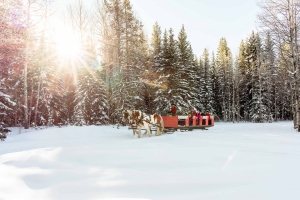 Five Days of Winter in Canmore and Kananaskis 3