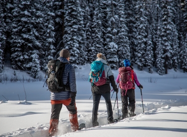 Discover Snowshoeing and Winter Hiking in Canmore and Kananaskis