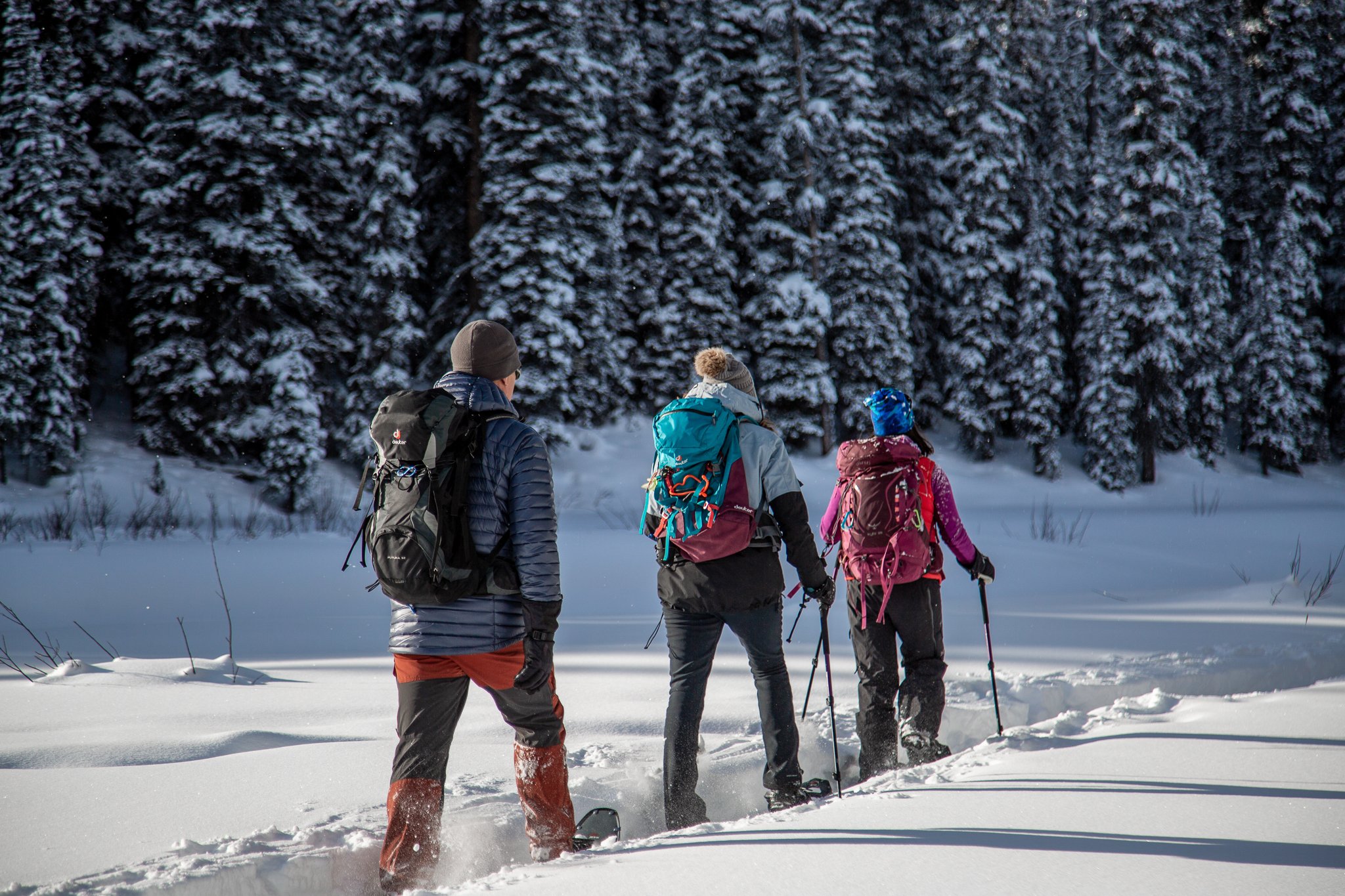 Top Snowshoe and Winter Hiking Trails in Canmore and Kananaskis