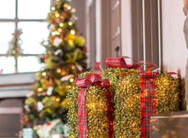 The Rotary Club of Canmore and The Malcolm Hotel Present: The 14th Annual Rotary Festival of Trees in 2023