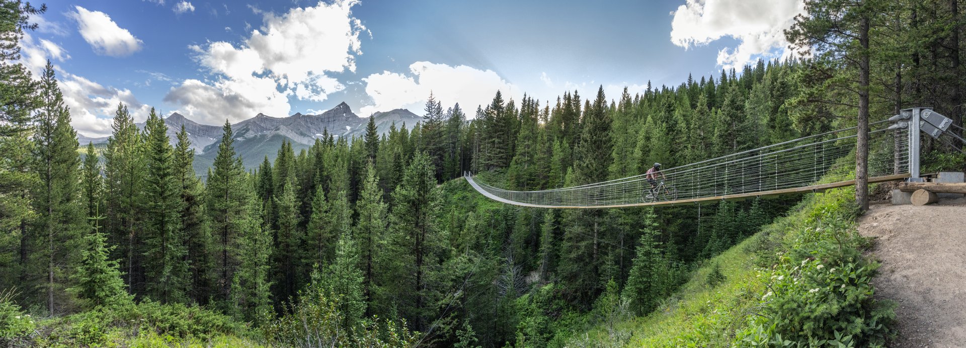 Black Shale Suspension Bridge Canmore Kananaskis