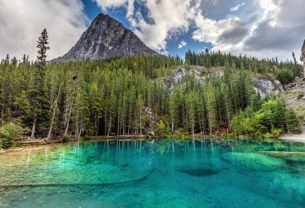 gorgeous green grassi lake in the summer with ha ling in the background