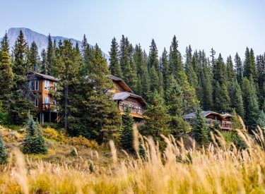 Cabins at Mount Engadine Lodge poking through a forest with grass in the foreground