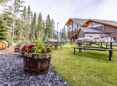 Outside area of Tank310 with flowers, picnic tables and benches
