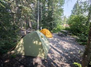 two tents in a campground site next to a picnic table surrounded by trees in a forest