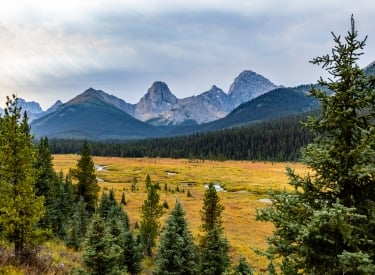 Mountains and a meadow close to Mount Engadine Lodge