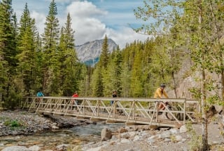 a family on mountain bikes in the forest biking across a bridge over a creek