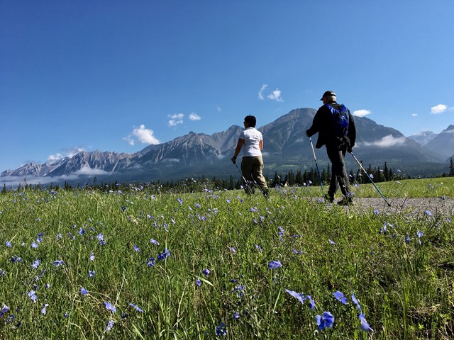 Active by Nature
