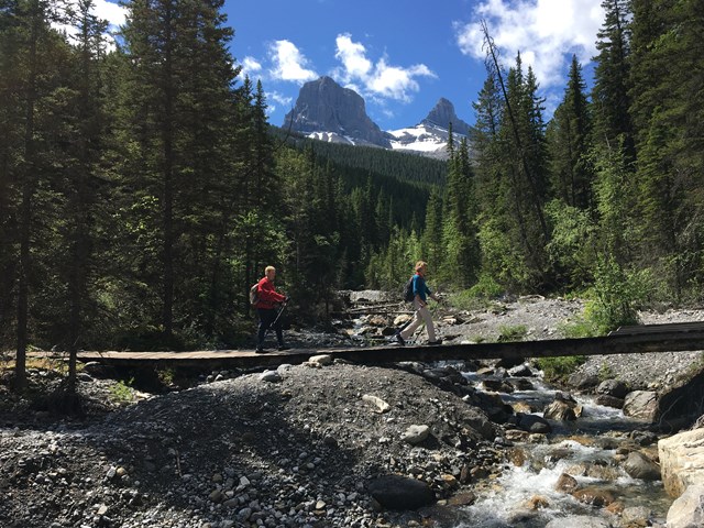 Active by Nature