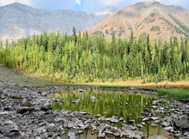 Highwood Meadows Trail