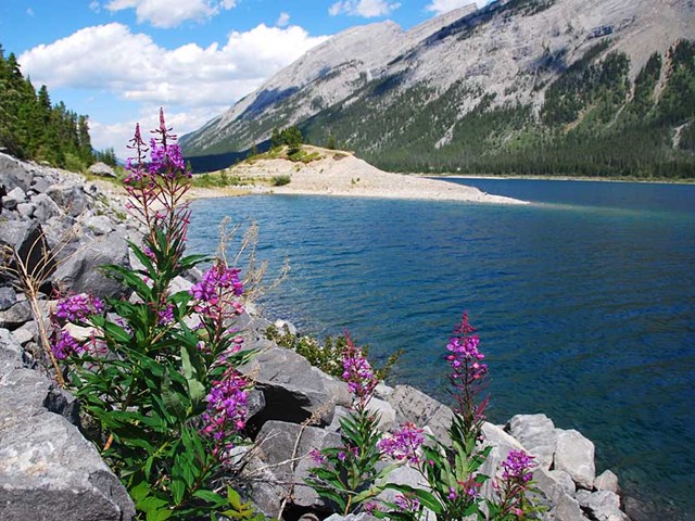 Spray Valley Provincial Park