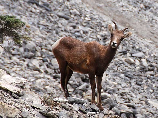 Spray Valley Provincial Park