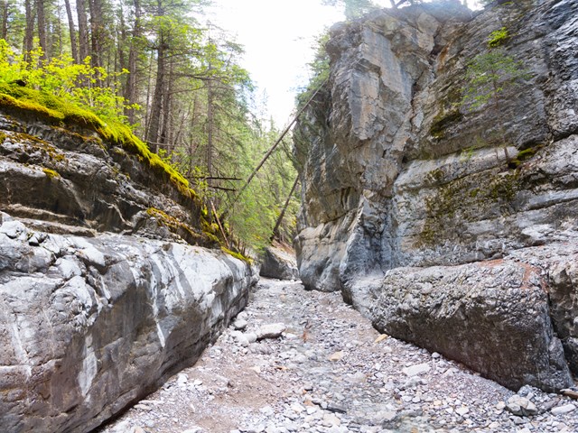 Pictographs & Paint