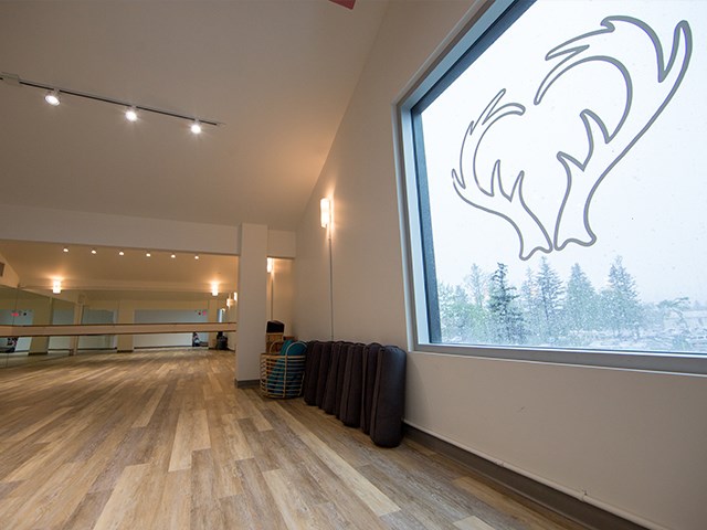 WildHeart Canmore