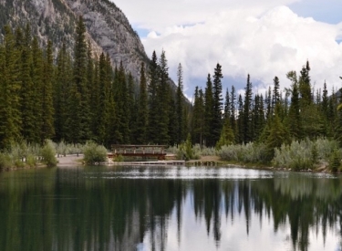 Mt. Lorette Ponds