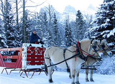 Canmore Ranch