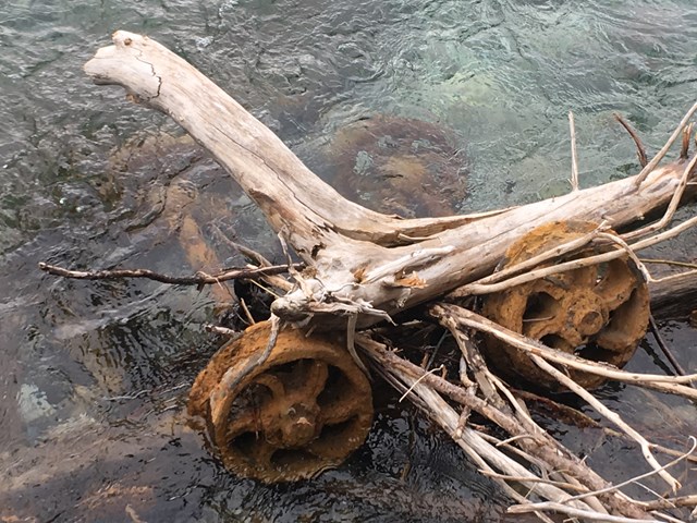 Canmore Trails and Tales