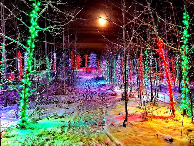 Holiday Carnival 2019