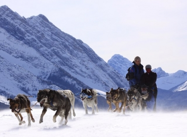 Howling Dog Tours Ltd.