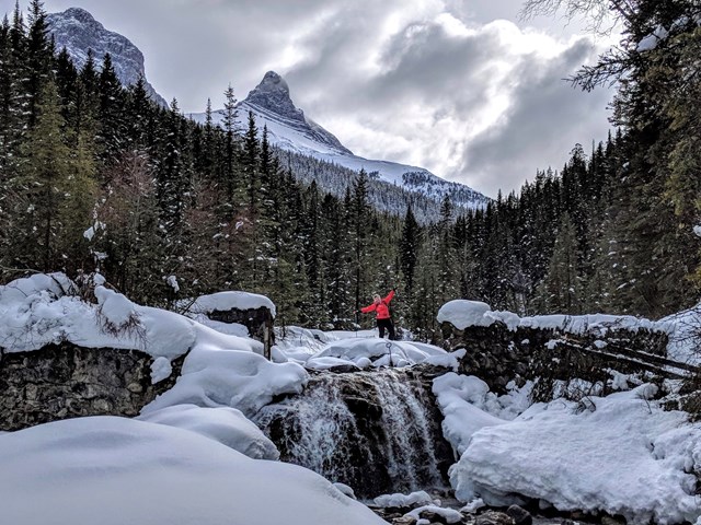 Active by Nature