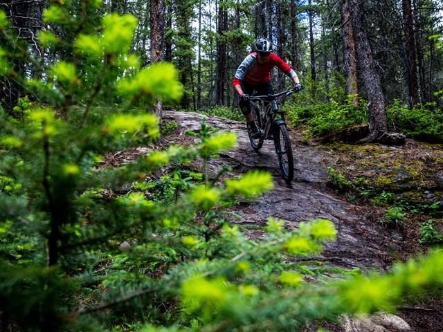 Plaid Goat Mountain Bike Festival
