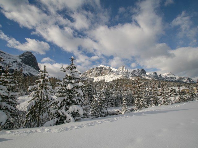 Winter in Canmore Photography Walk