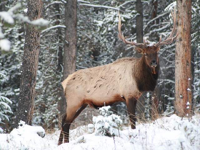 Active by Nature