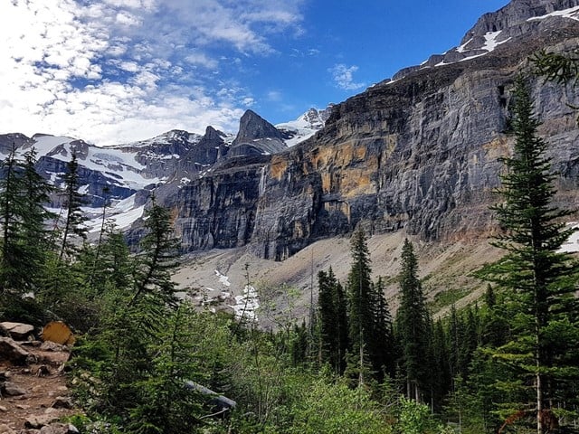 Canadian Rockies Experience