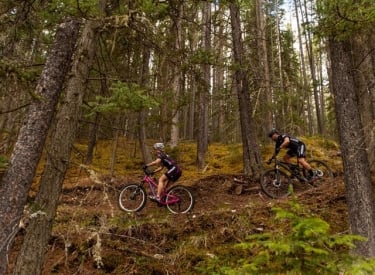 Free Group Ride