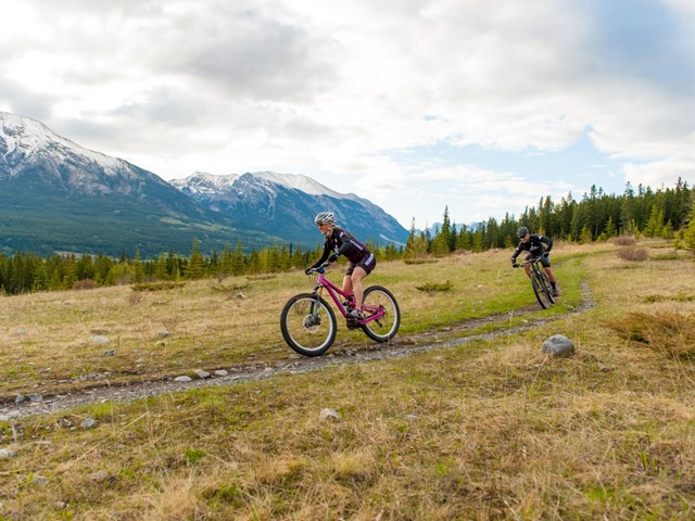 Free Group Ride