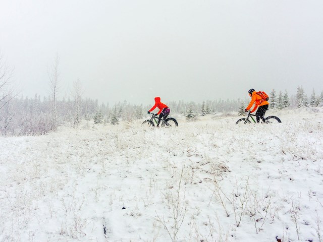 Free Group Ride