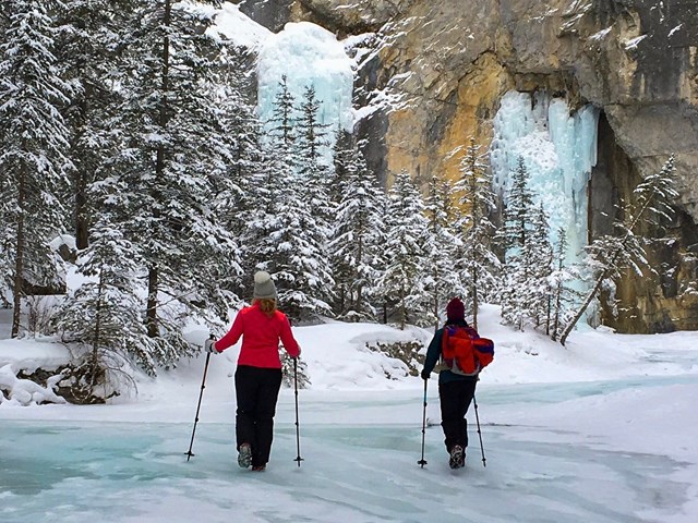 Canadian Rockies Experience