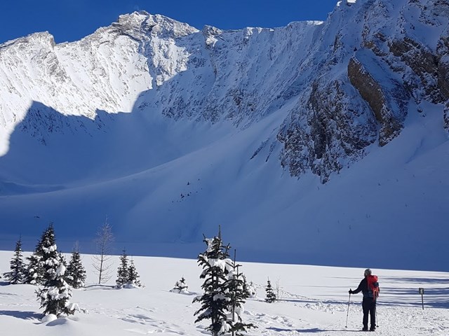 Canadian Rockies Experience